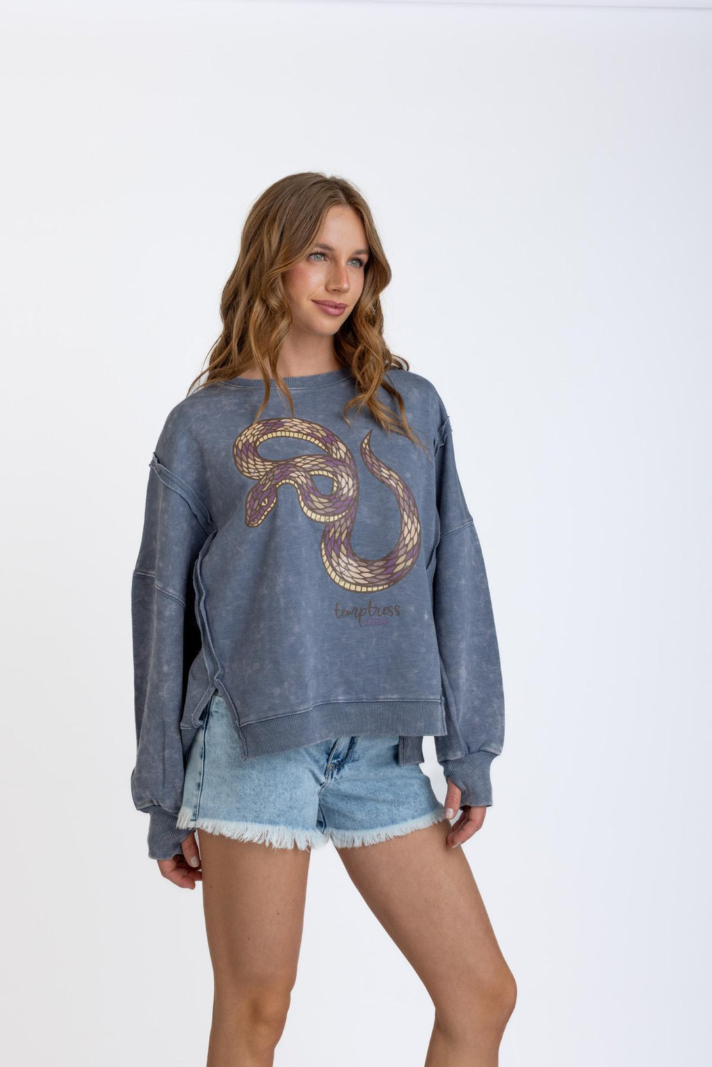 Polerón Oversize Cortes y Estampado Color Indigo Efesis
